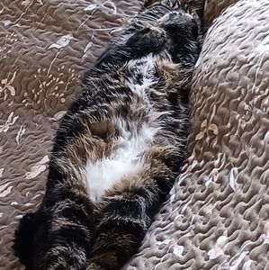 Meet your Posher, Ray
